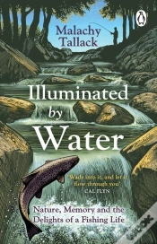 Capa do artigo Illuminated By Water
