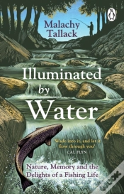 Capa do artigo Illuminated By Water
