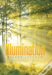 Capa do artigo Illumination