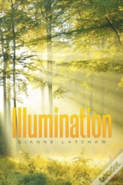 Capa do artigo Illumination