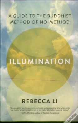 Capa do artigo Illumination