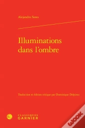 Illuminations Dans L'Ombre