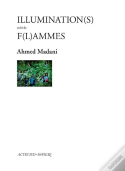 Capa do artigo Illumination(S) ; F(L)Ammes