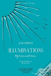 Capa do artigo Illuminations