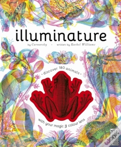 Capa do artigo Illuminature