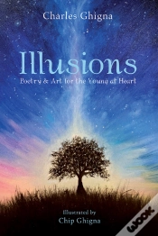 Capa do artigo Illusions