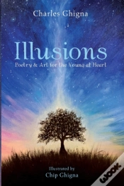 Capa do artigo Illusions