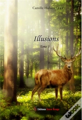 Illusions