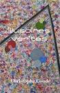 Illusoires Verites - Preview
