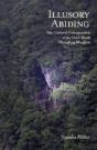 Illusory Abiding - Preview