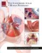 Illustrated Atlas Of Human Pathology - Preview