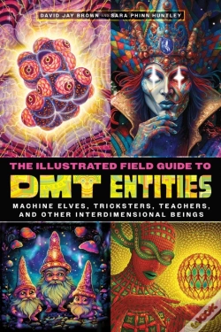 Capa do artigo Illustrated Field Guide To Dmt Entities
