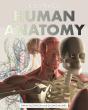 Illustrated Human Anatomy - Preview