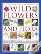 Illustrated Identifier And Encyclopedia: Wild Flowers And Flora