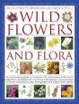 Illustrated Identifier And Encyclopedia: Wild Flowers And Flora - Preview
