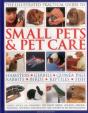 Illustrated Practical Guide To Small Pets & Pet Care - Preview