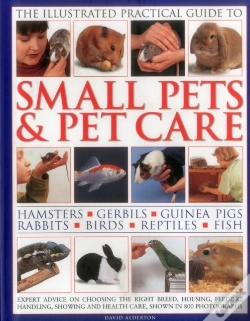 Capa do artigo Illustrated Practical Guide To Small Pets & Pet Care