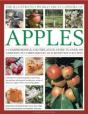 Illustrated World Encyclopedia Of Apples - Preview