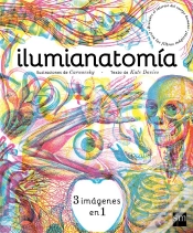 Capa do artigo Ilumianatomía