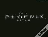 I'M A Phoenix, Bitch