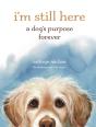 I'M Still Here - Preview