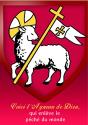 Image Agnus Dei Par Lot De 50 - Preview