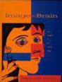 Image And Brain - Preview