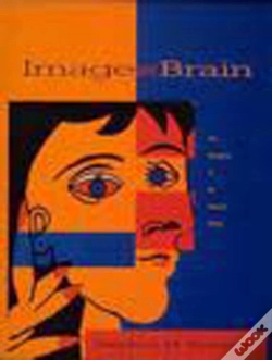 Capa do artigo Image And Brain