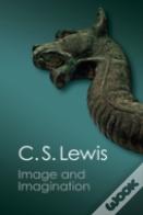 Image And Imagination