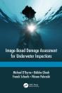 Image-Based Damage Assessment For Underwater Inspections - Preview