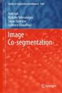 Image Co-Segmentation - Preview