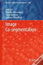 Capa do artigo Image Co-Segmentation