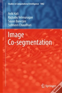 Capa do artigo Image Co-Segmentation