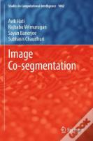 Image Co-Segmentation