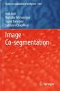 Image Co-Segmentation - Preview
