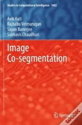 Image Co-Segmentation