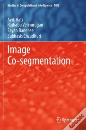 Capa do artigo Image Co-Segmentation