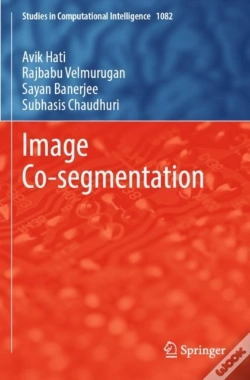 Capa do artigo Image Co-Segmentation