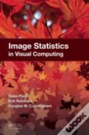 Image Statistics In Visual Computing