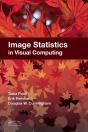 Image Statistics In Visual Computing - Preview