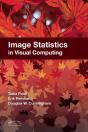 Image Statistics In Visual Computing - Preview