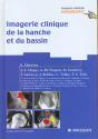 Imagerie Clinique De La Hanche Et Du Bassin - Preview