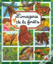 Imagerie De La Foret