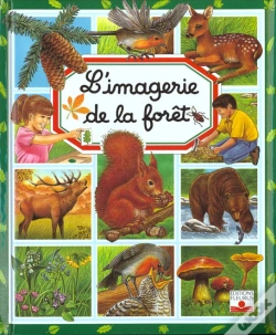 Capa do artigo Imagerie De La Foret