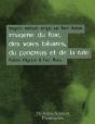Imagerie Du Foie Et Des Voies Biliaires ; 2e Edition - Preview