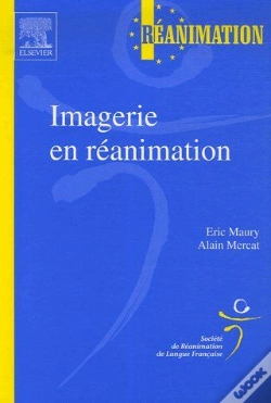 Capa do artigo Imagerie En Réanimation