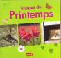 Images De Printemps - Preview
