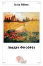 Images Dérobées - Preview