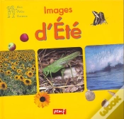 Capa do artigo Images D