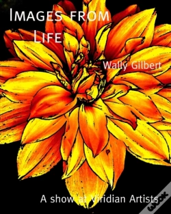 Capa do artigo Images From Life